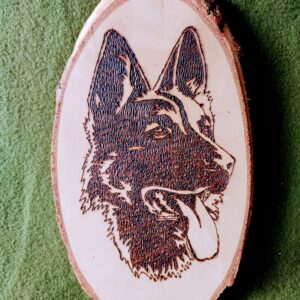 Berger Allemand pyrogravé