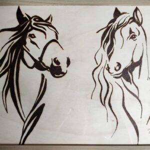 Le cheval et sa jument