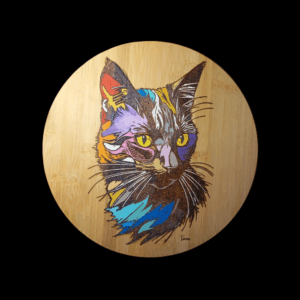 Chat en couleurs