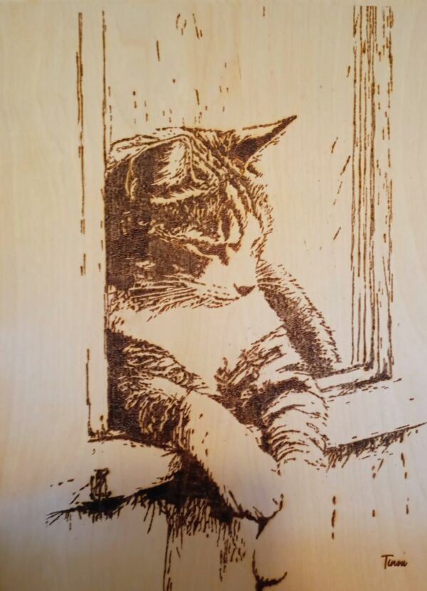 Chat tigré sur rebord de fenêtre