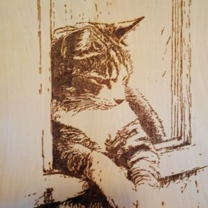 Chat tigré sur rebord de fenêtre