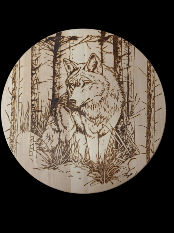Loup pyrogravé sur peuplier massif